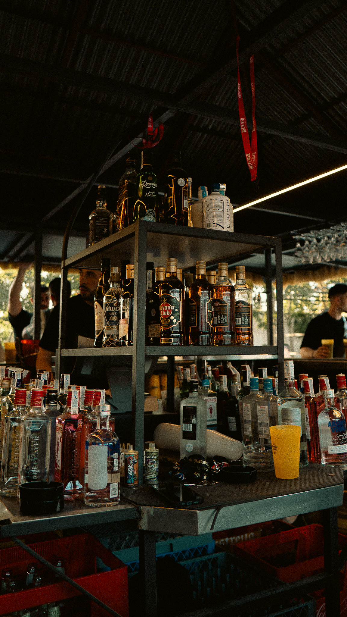 Barra con botellas y luz cálida